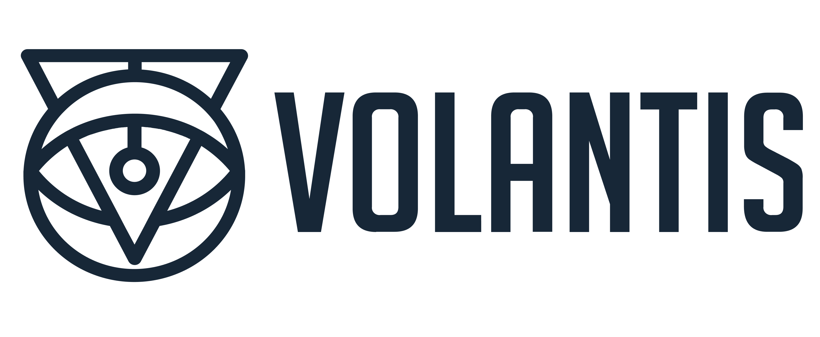 Volantis Logo